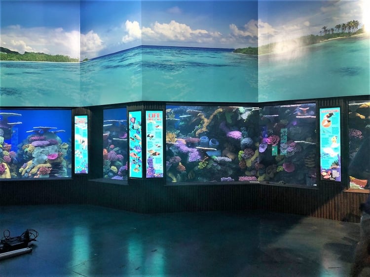 ARC and Tulsa Acquarium Wall Graphics