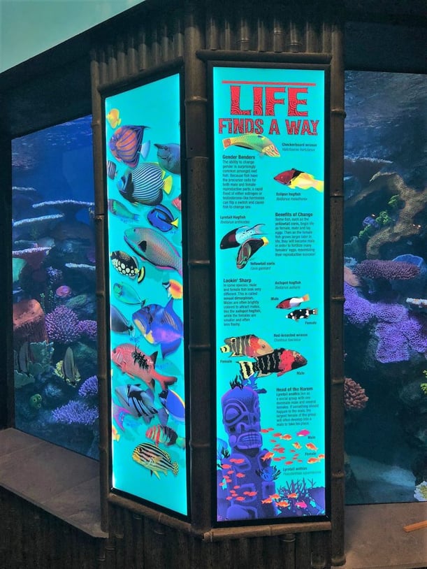 ARC and Tulsa Acquarium Wall Graphics