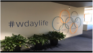A wall with environmental graphics and hula loops that employees can remove from the wall and use if they want